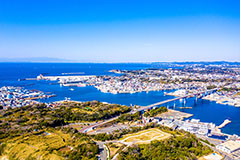 日本さかな専門学校 の特長 3