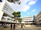 成城大学