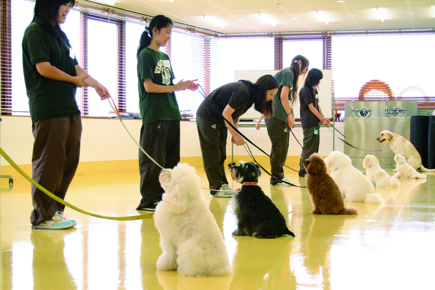 専門学校ビジョナリーアーツ[ペット学科／動物看護学科] の特長 1