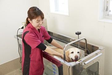 大阪ペピイ動物看護専門学校 インタビュー
